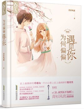 《為何偏偏遇見你》
