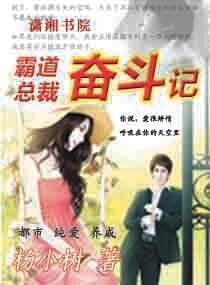 《霸道總裁奮鬥記》