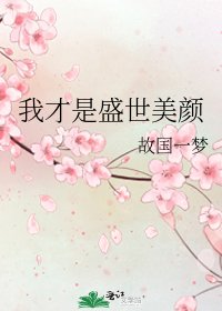 《我才是盛世美顏》