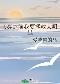 《天亮之前我要拯救大明星》