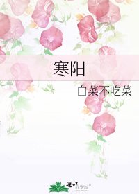 《寒阳》