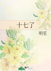 《十七了》
