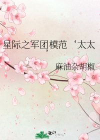 《星際之軍團模範‘太太’》