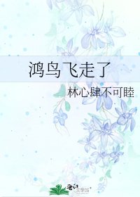 《鴻鳥飛走了》