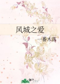 《风城之爱》