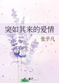 《突如其来的爱情》