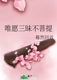 《唯願三昧不菩提》