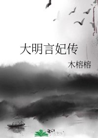 《大明言妃传》