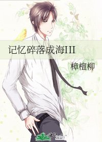 《记忆碎落成海III》