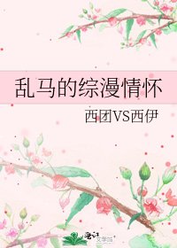 《亂馬的綜漫情懷》