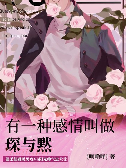 《有一种感情叫做琛与黙》