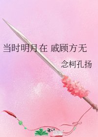 《當時明月在 戚顧方無》