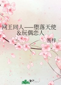 《網王同人——墮落天使&玩偶戀人》