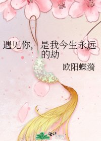 《遇见你,是我今生永远的劫》