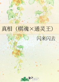 《真相(棋魂×通靈王)》