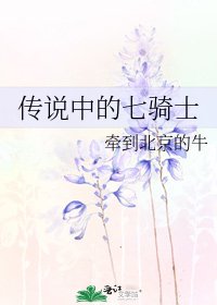 《傳說中的七騎士》