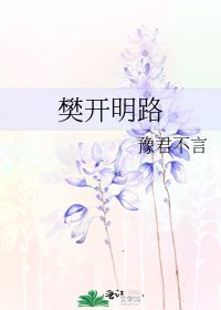 《樊开明路》