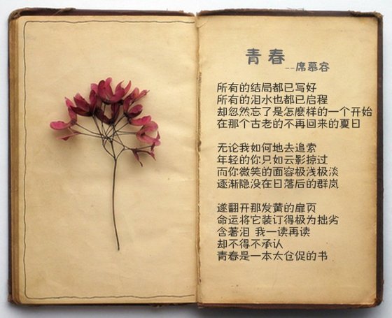 《像一记感叹号》