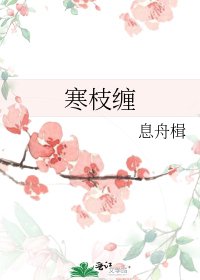 《寒枝缠》