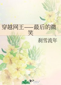 《穿越网王——最后的微笑》