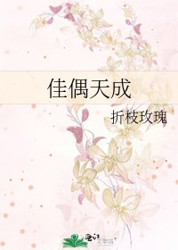 《佳偶天成》