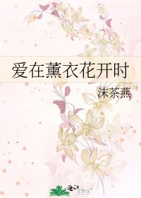 《愛在薰衣花開時》
