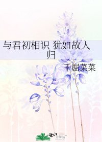 《与君初相识 犹如故人归》