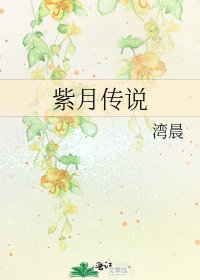 《紫月傳說》