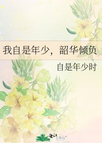 《我自是年少,韶華傾負》