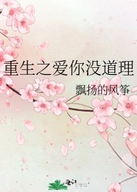 《重生之爱你没道理》