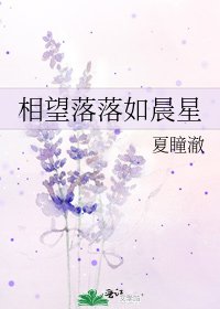 《相望落落如晨星》