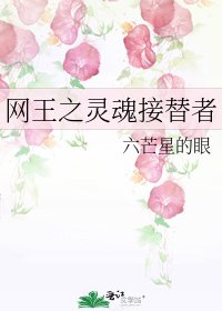 《網王之靈魂接替者》