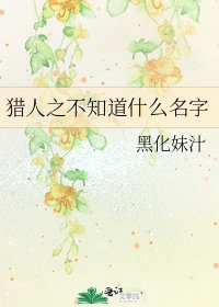 《猎人之不知道什么名字》