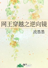 《網王穿越之逆向鏡》