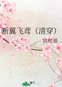 《斷翼飛鳶(清穿)》