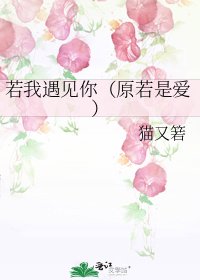 《若我遇見你(原若是愛)》