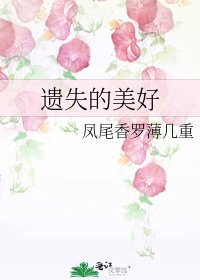 《遺失的美好》