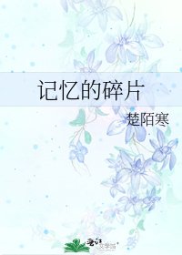 《记忆的碎片》