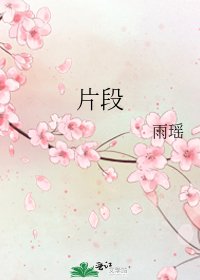 《片段》