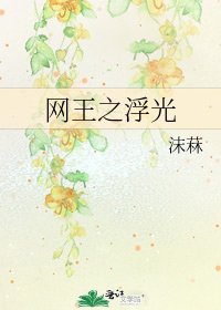 《網王之浮光》