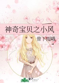 《神奇寶貝之小風》