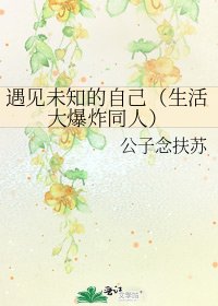 《遇見未知的自己(生活大爆炸同人)》