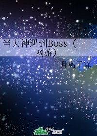 《當大神遇到Boss(網遊)》