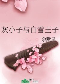 《灰小子與白雪王子》
