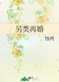《另類再婚》