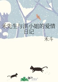 《禾先生與洪小姐的愛情日記》