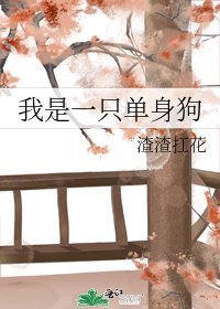 《我是一隻單身狗》