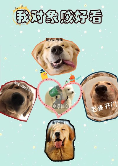 《我物件賊好看》