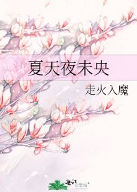 《夏天夜未央》