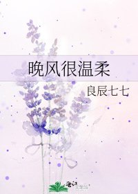 《晚風很溫柔》